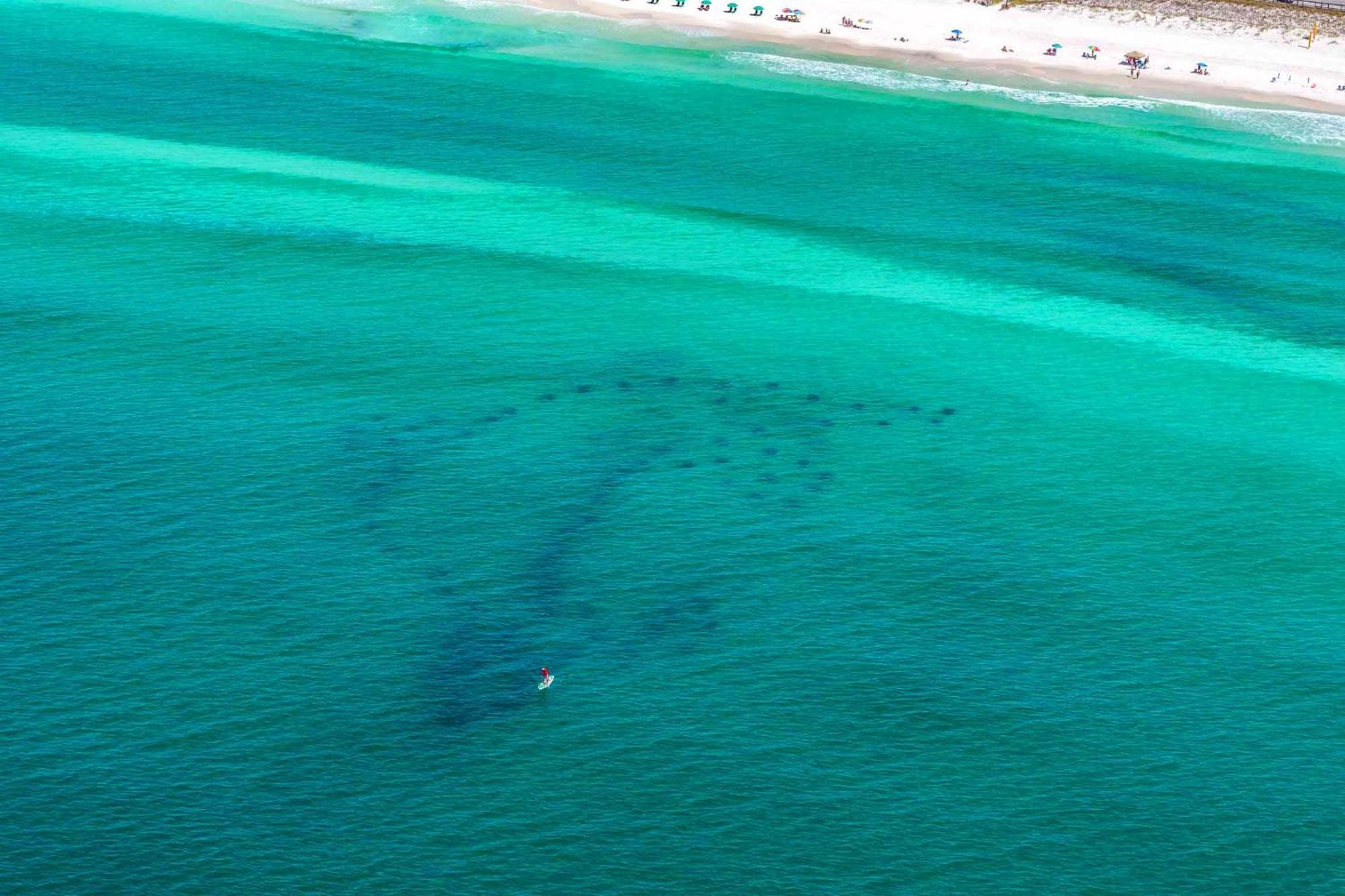 Ariel Dunes I 2207 Destin Bagian luar foto
